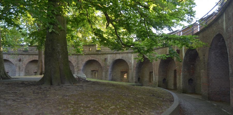 Fotoshoot – Burcht Leiden